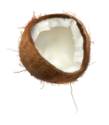 Coco1